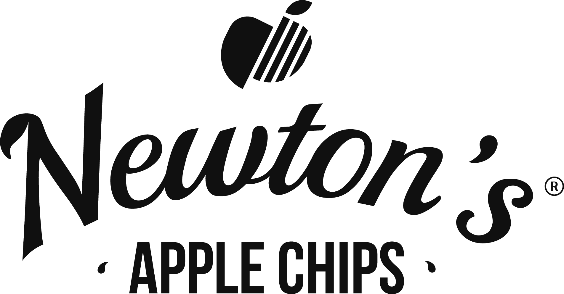 logo_newtons
